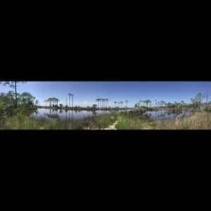 Meet your Posher, Jane